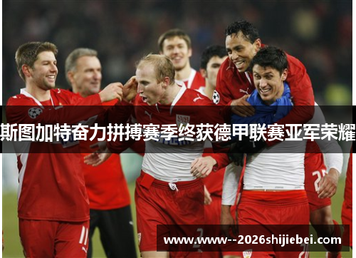 斯图加特奋力拼搏赛季终获德甲联赛亚军荣耀