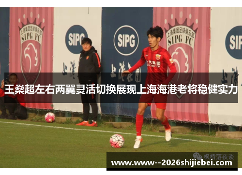 王燊超左右两翼灵活切换展现上海海港老将稳健实力